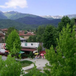 berkovica