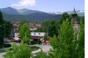 Берковица