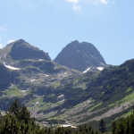 govedarci