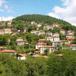 momchilovci