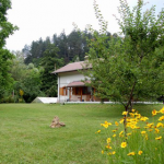 triavna
